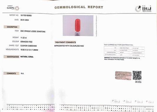 11.22/Carat Natural Cylindrical Red Coral (1800)