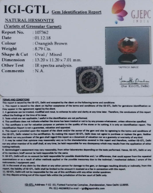 9.77 Ratti Natural Hessonite with Govt. Lab Certificate-(1221)