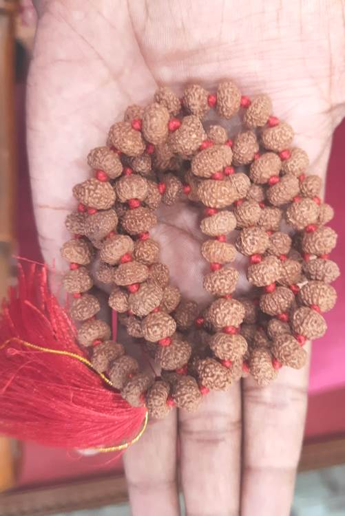 TEN MUKHI RUDRAKSHA MALA (3400)