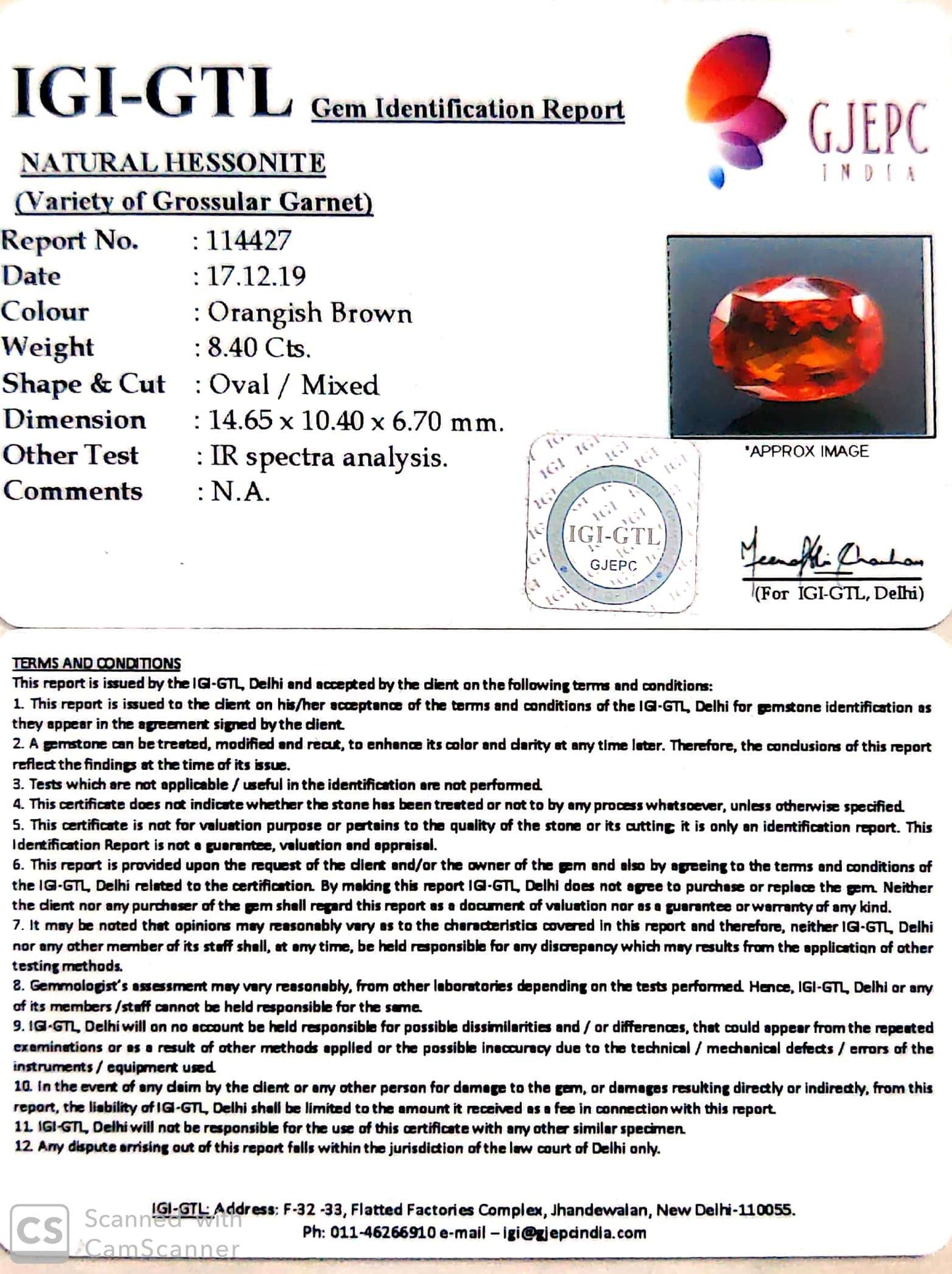 9.33 Ratti Natural Hessonite with Govt. Lab Certificate-(1221)