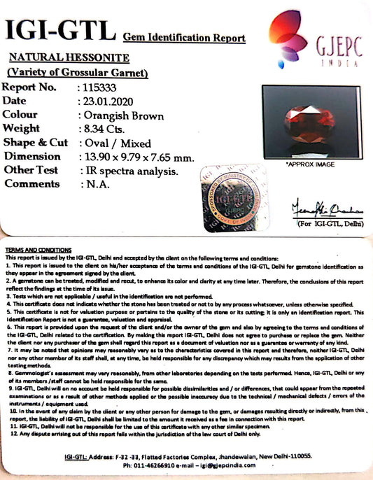 9.27 Ratti Natural Hessonite with Govt. Lab Certificate-(1221)