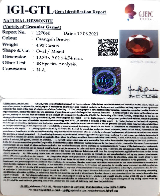 4.92/CT Natural Govt. Lab Certified Ceylonese Gomed-(1221)