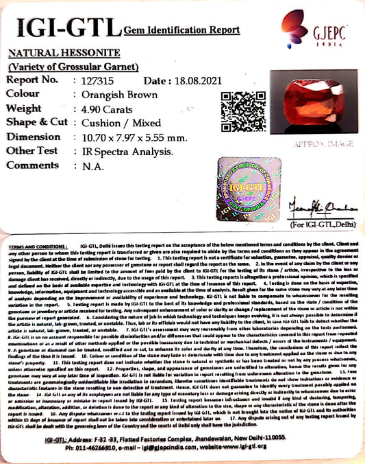 4.90/CT Natural Govt. Lab Certified Ceylonese Gomed-(1221)