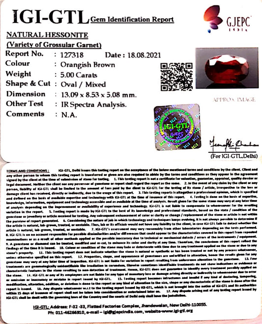 5.00/CT Natural Govt. Lab Certified Ceylonese Gomed-(1221)