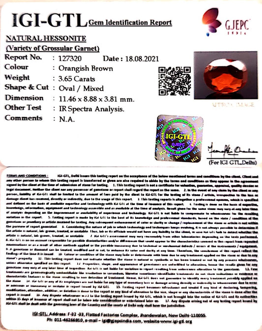 3.65/CT Natural Govt. Lab Certified Ceylonese Gomed-(1221)