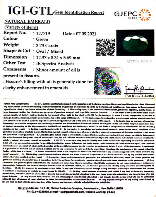 3.73/CT Natural Panna Stone with Govt. Lab Certificate  (6771)