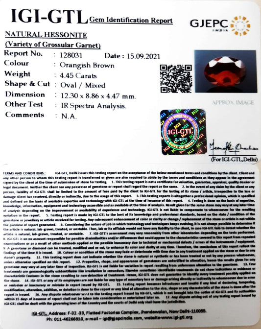 4.93/CT Natural Govt. Lab Certified Ceylonese Gomed-(1221)