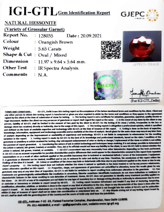 5.65/CT Natural Govt. Lab Certified Ceylonese Gomed-(1221)