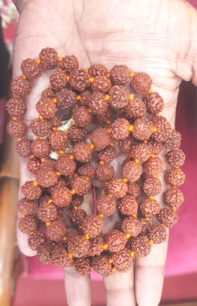 FIVE MUKHI RUDRAKSHA MALA (200)