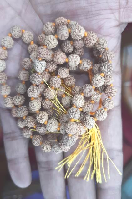 FIVE MUKHI RUDRAKSHA MALA (500)