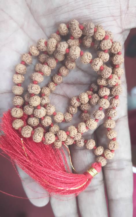 SIX MUKHI RUDRAKSHA MALA (1600)