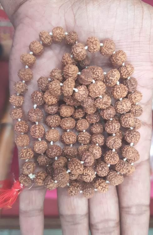 SEVEN MUKHI RUDRAKSHA MALA (2400)