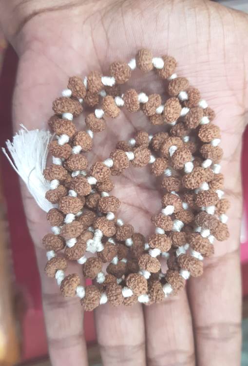 EIGHT MUKHI RUDRAKSHA MALA (3400)