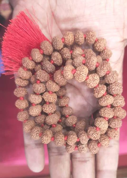 NINE MUKHI RUDRAKSHA MALA (3400)