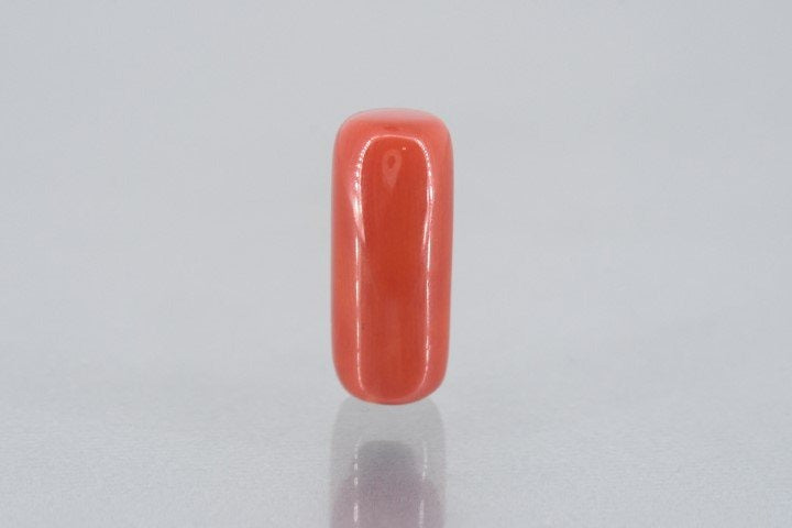 10.52/Carat Natural Cylindrical Red Coral (1800)