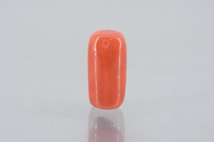 9.89/Carat Natural Cylindrical Red Coral (1800)