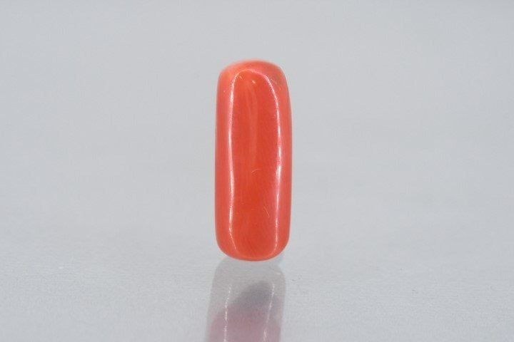 8.15/Carat Natural Cylindrical Red Coral (1800)