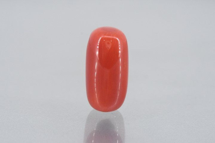 11.94/Carat Natural Cylindrical Red Coral (1800)