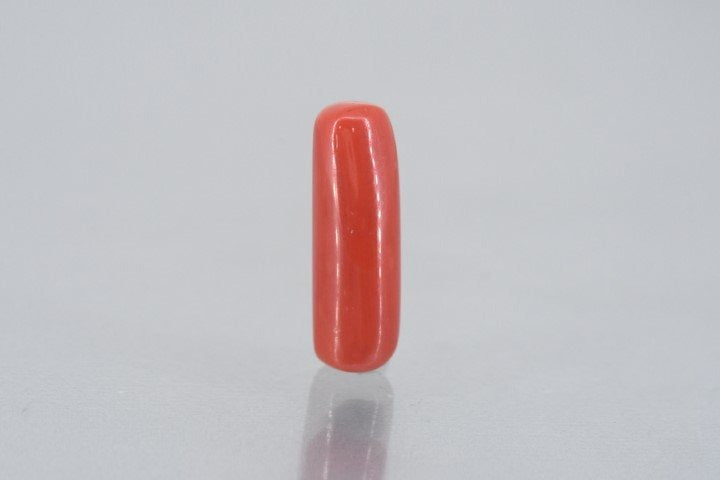 8.60/Carat Natural Cylindrical Red Coral (1800)