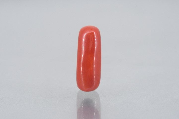 8.02/Carat Natural Cylindrical Red Coral (1800)