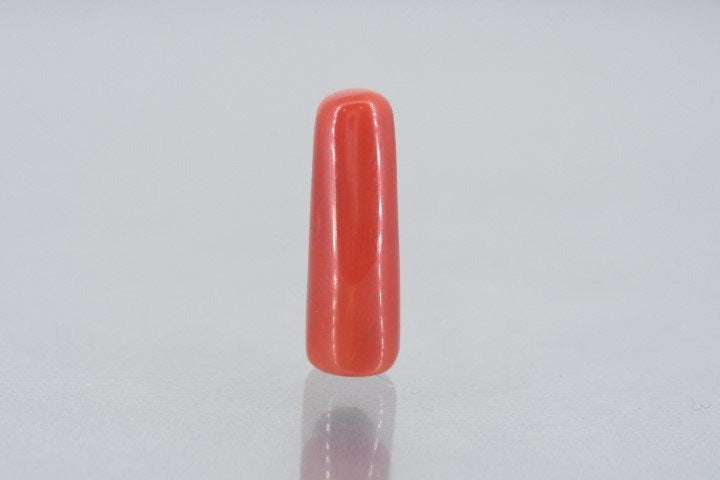 7.17/Carat Natural Cylindrical Red Coral (1800)