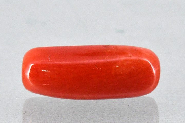 6.32/Carat Natural Cylindrical Red Coral (2100)