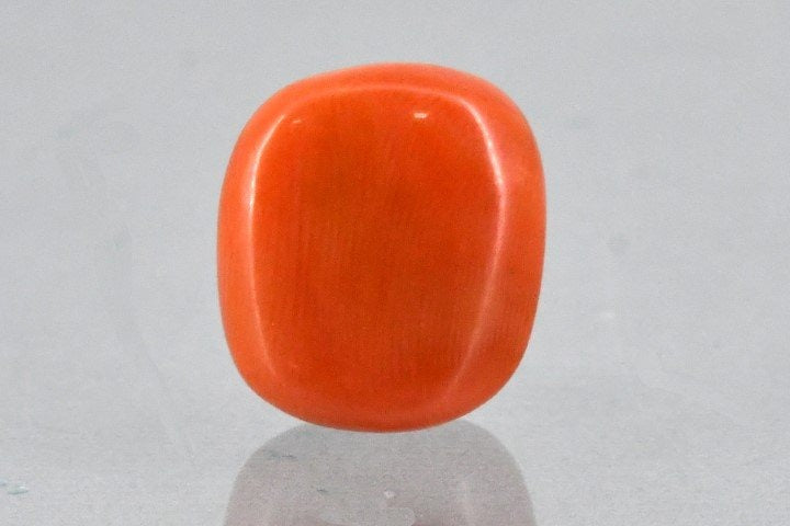 8.45/Carat Natural Cylindrical Red Coral (2100)