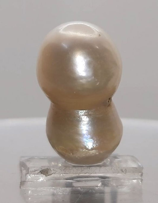 KESHI PEARL-230168-1650-17.65