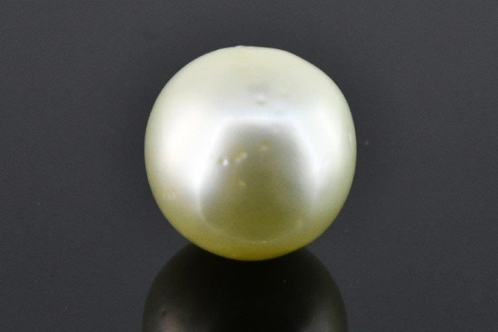 10.17/CT Natural South Sea Pearl with Govt. Lab Certificate (1550)