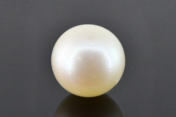 15.38/CT Natural South Sea Pearl with Govt. Lab Certificate (1550)