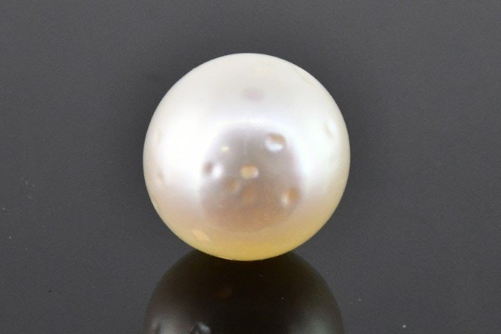 8.24/CT Natural South Sea Pearl with Govt. Lab Certificate (1550)