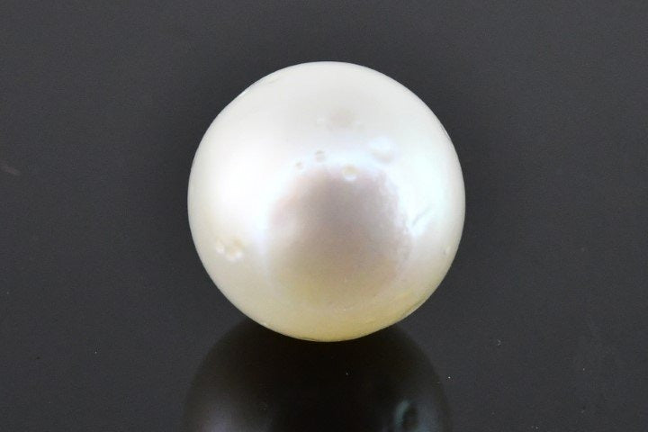 8.22/CT Natural South Sea Pearl with Govt. Lab Certificate (1550)