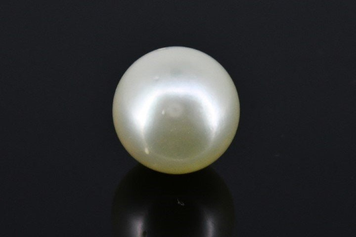 7.31/CT Natural South Sea Pearl with Govt. Lab Certificate (1550)