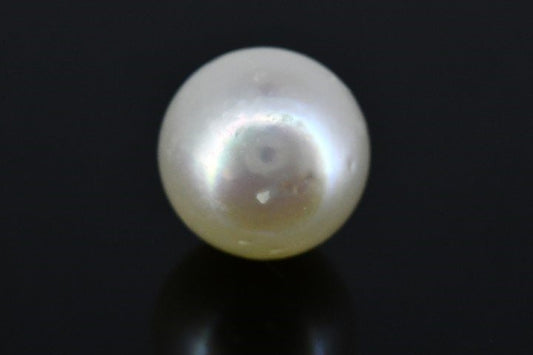 3.34/CT Natural South Sea Pearl with Govt. Lab Certificate (1550)