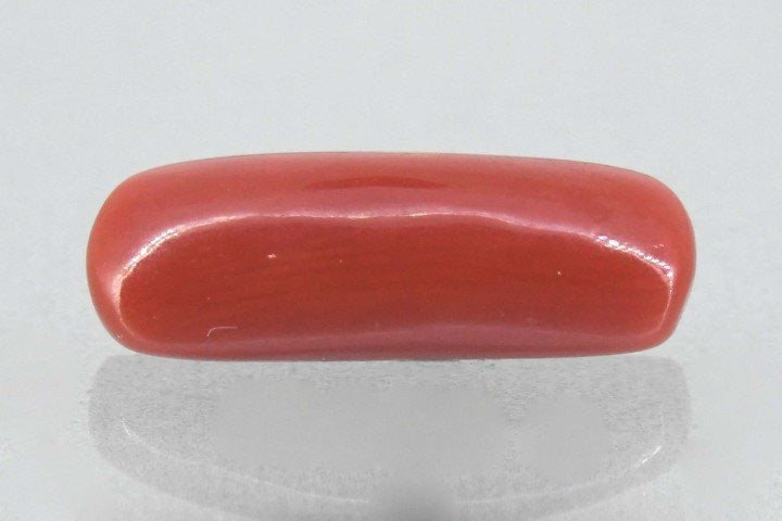 6.47/Carat Natural Cylindrical Red Coral (1800)